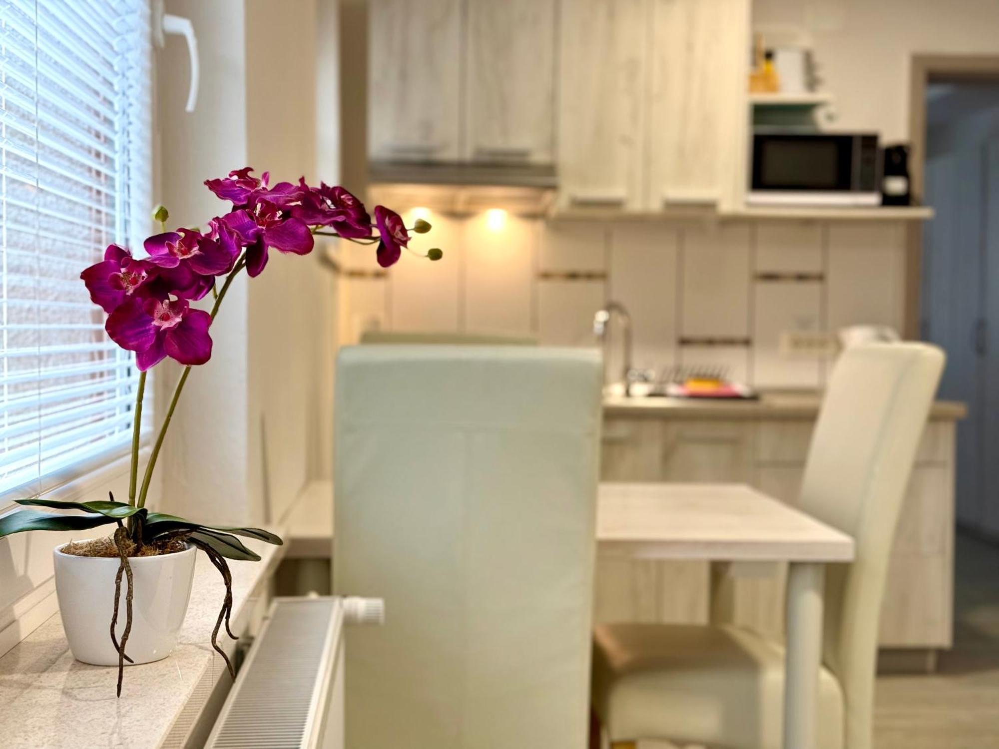 Guest House Kobal Spodnje Gorje Ngoại thất bức ảnh